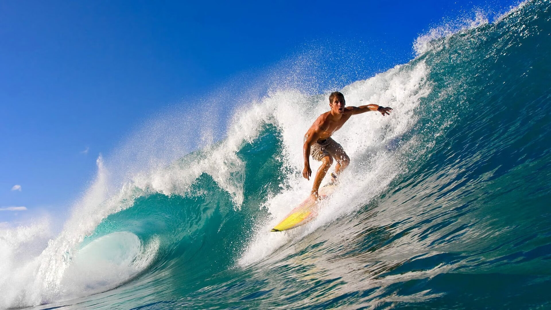 世界水球冠军杯：水中角逐的激烈竞争，水球冠军赛